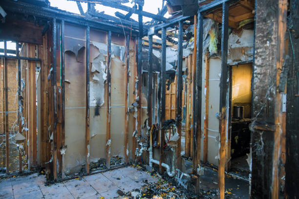 Professional Fire Damage Removal technician working in Valley, NE